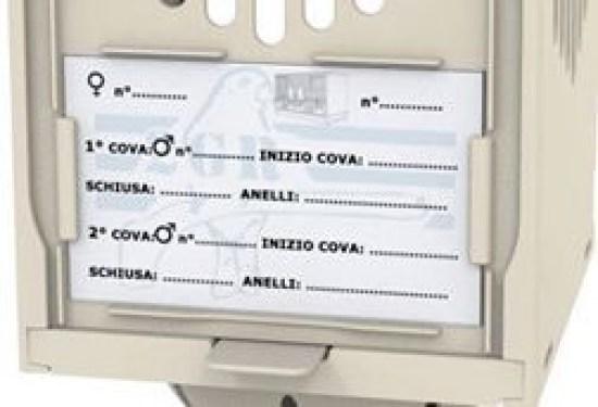 ΝΕΑ ΦΩΛΙΑ 181 Δ